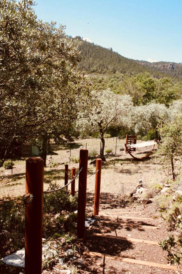 L'Hacienda Maison D'Hotes Bagnols-en-Forêt Esterno foto