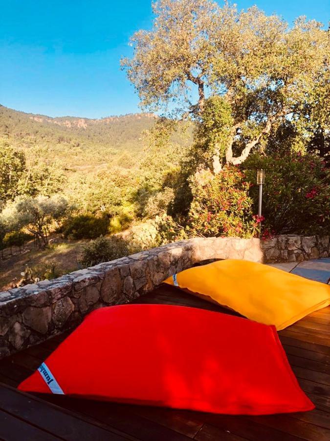 L'Hacienda Maison D'Hotes Bagnols-en-Forêt Esterno foto